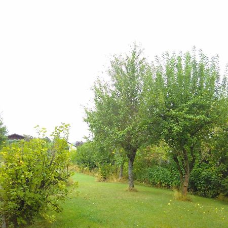 Ferienwohnung Am Mozarthuegel Warstein Exteriör bild